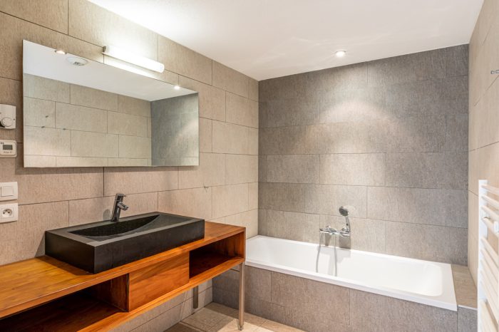 Mont Blanc Alpine Estate in France at Les Portes du Soleil